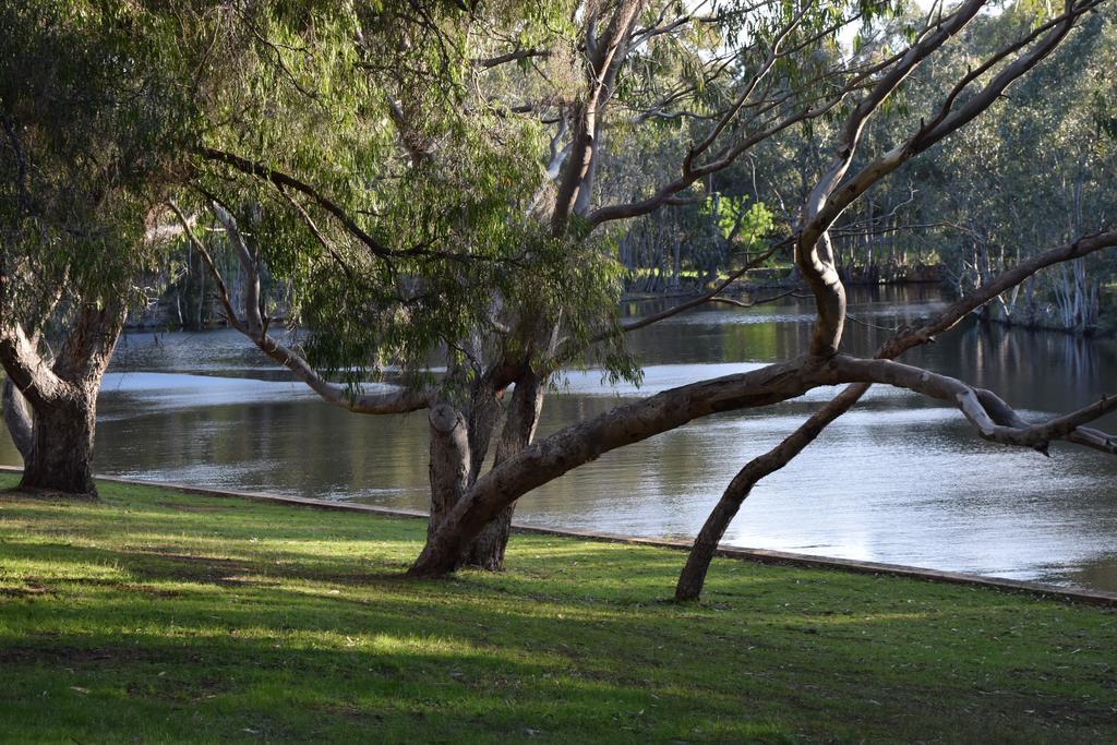 Bushy Lake Chalets Margaret River ภายนอก รูปภาพ
