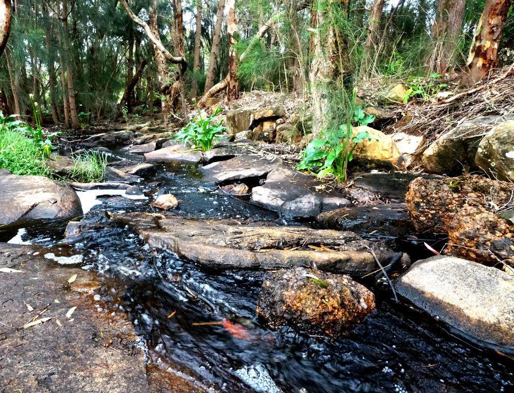 Bushy Lake Chalets Margaret River ภายนอก รูปภาพ